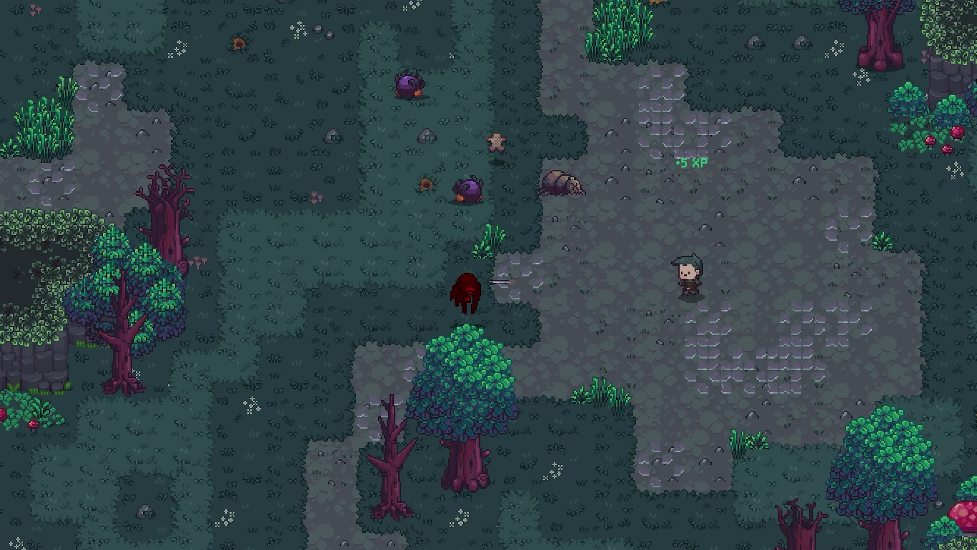 Adventurer traversing a lush woodland path